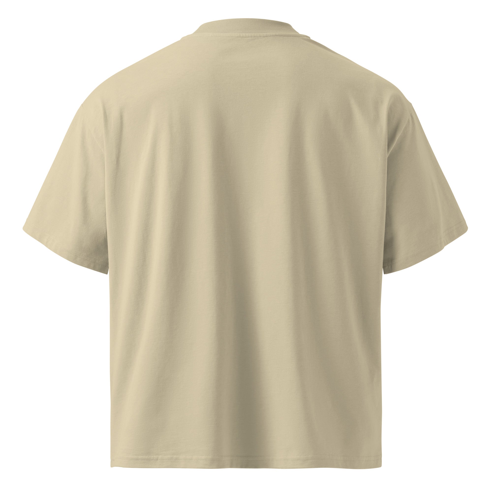 T-shirt homme beige col montant BIO - SUBWAY DREAMER - 5